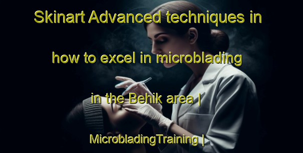 Skinart Advanced techniques in how to excel in microblading in the Behik area | MicrobladingTraining | MicrobladingClasses | SkinartTraining-Turkey